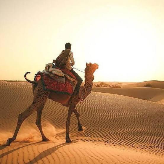 Desert Holiday Jaisalmer Exteriör bild