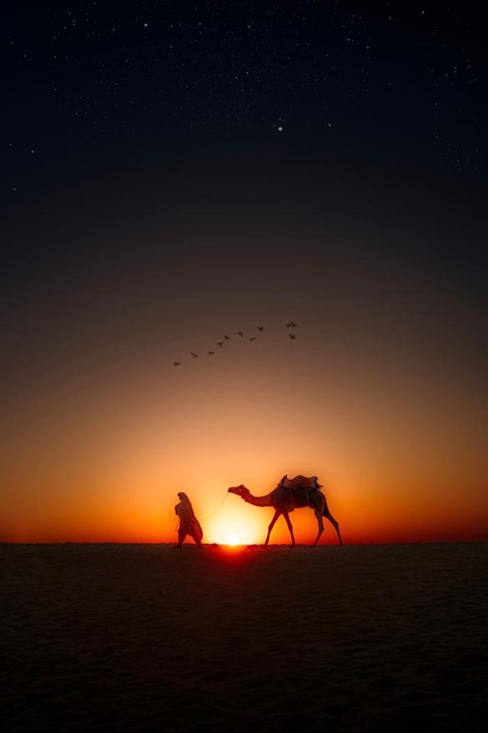 Desert Holiday Jaisalmer Exteriör bild