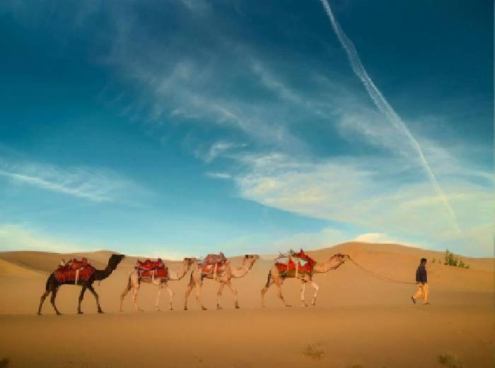 Desert Holiday Jaisalmer Exteriör bild